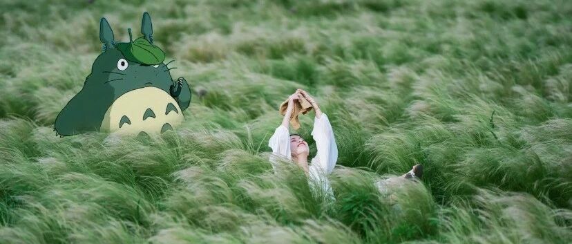 绿到发慌的草海，形似宫崎骏画风，网红排队去打卡，比花海还治愈！