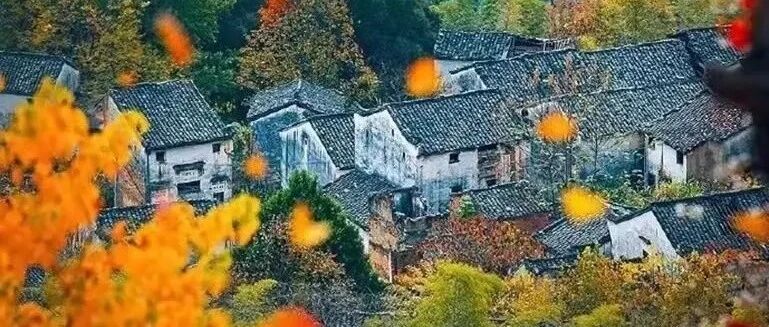 未来两年度假：看雪、睡云...离都市不远，离自然很近