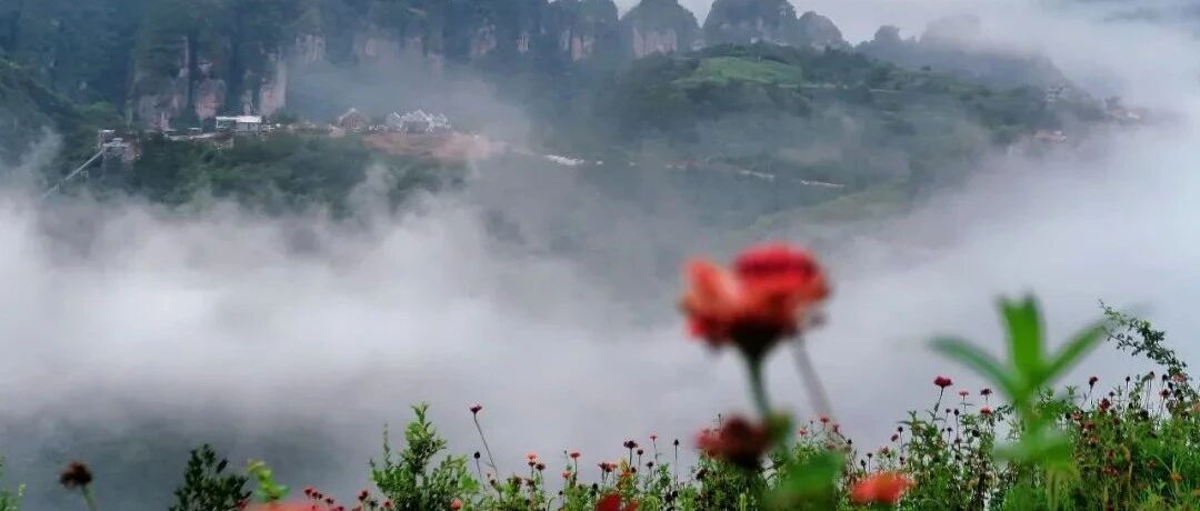 1500万造了13个房间，山中醒来，云在枕边