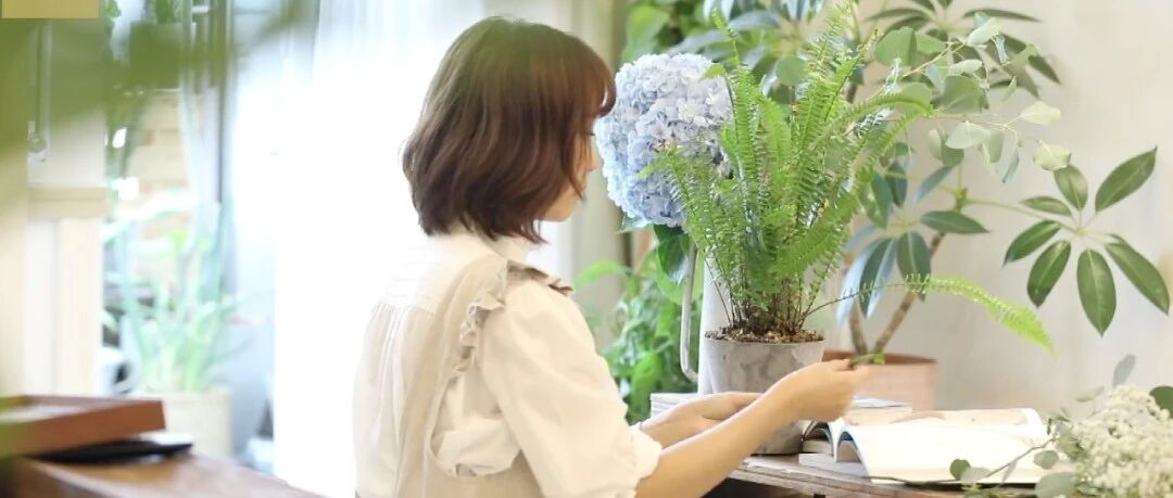 拥抱热爱，北方姑娘在6m²阳台上打造小森林，CGTN都来报道