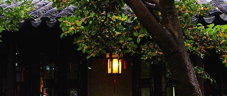 一年秋意浓，满城桂花香。这些城市承包了秋日最清幽的桂花香