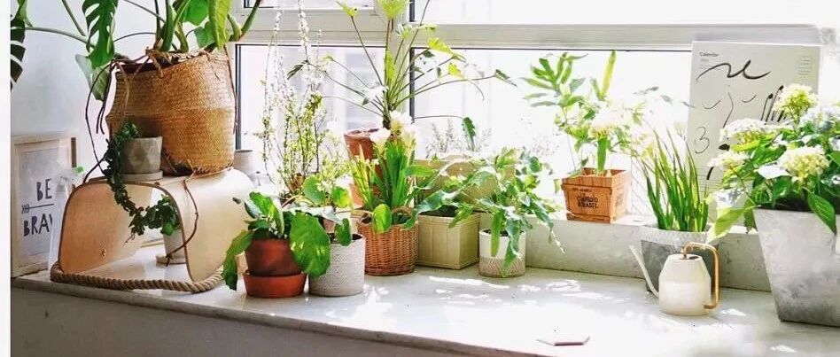 看完这几个中国式飘窗改造案例，我只有一个字：绝！