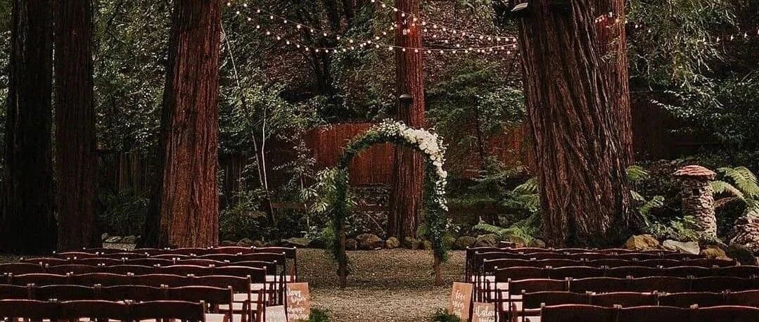 明星都爱的户外婚礼，2020成最受欢迎选择：婚姻幸福与婚礼规模无关