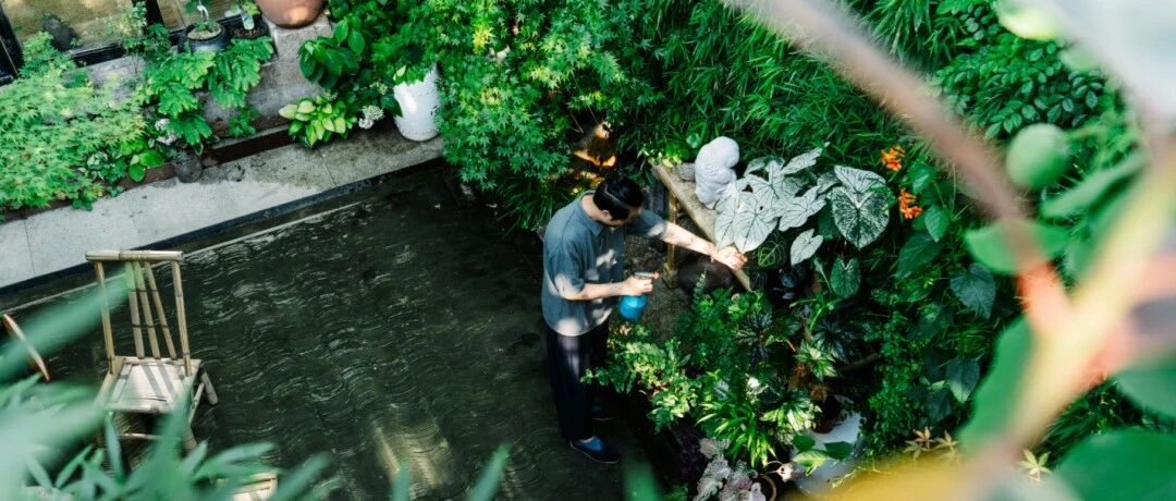 哥哥们爱起花草来，比姐姐更疯狂！