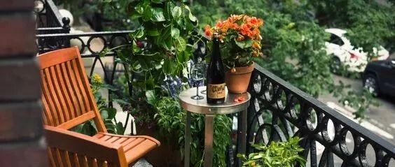 家里晒不到太阳怎么种花？这里有一份参考答案