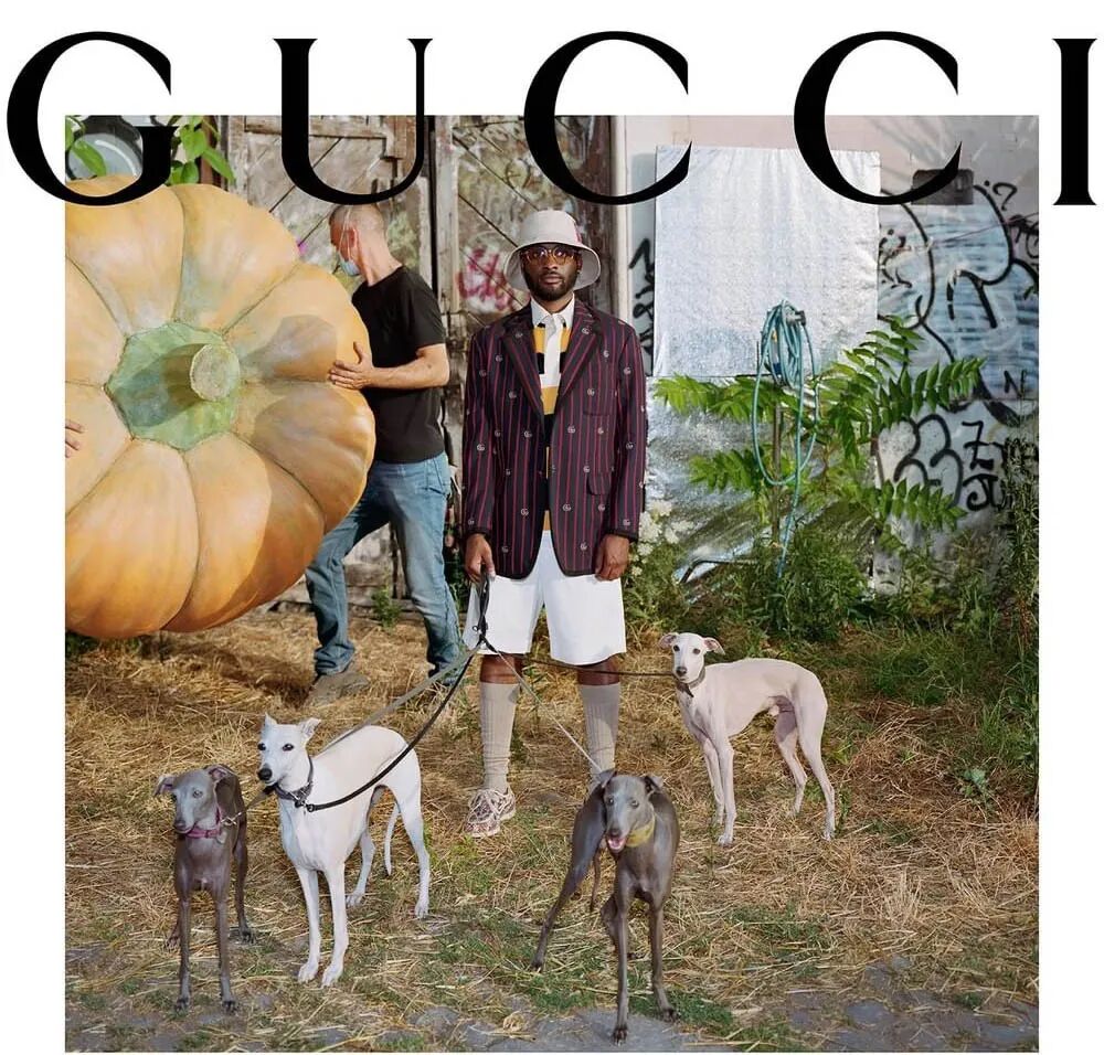 艺术与设计 - gucci青睐的花花教父ken scott是什么来头?