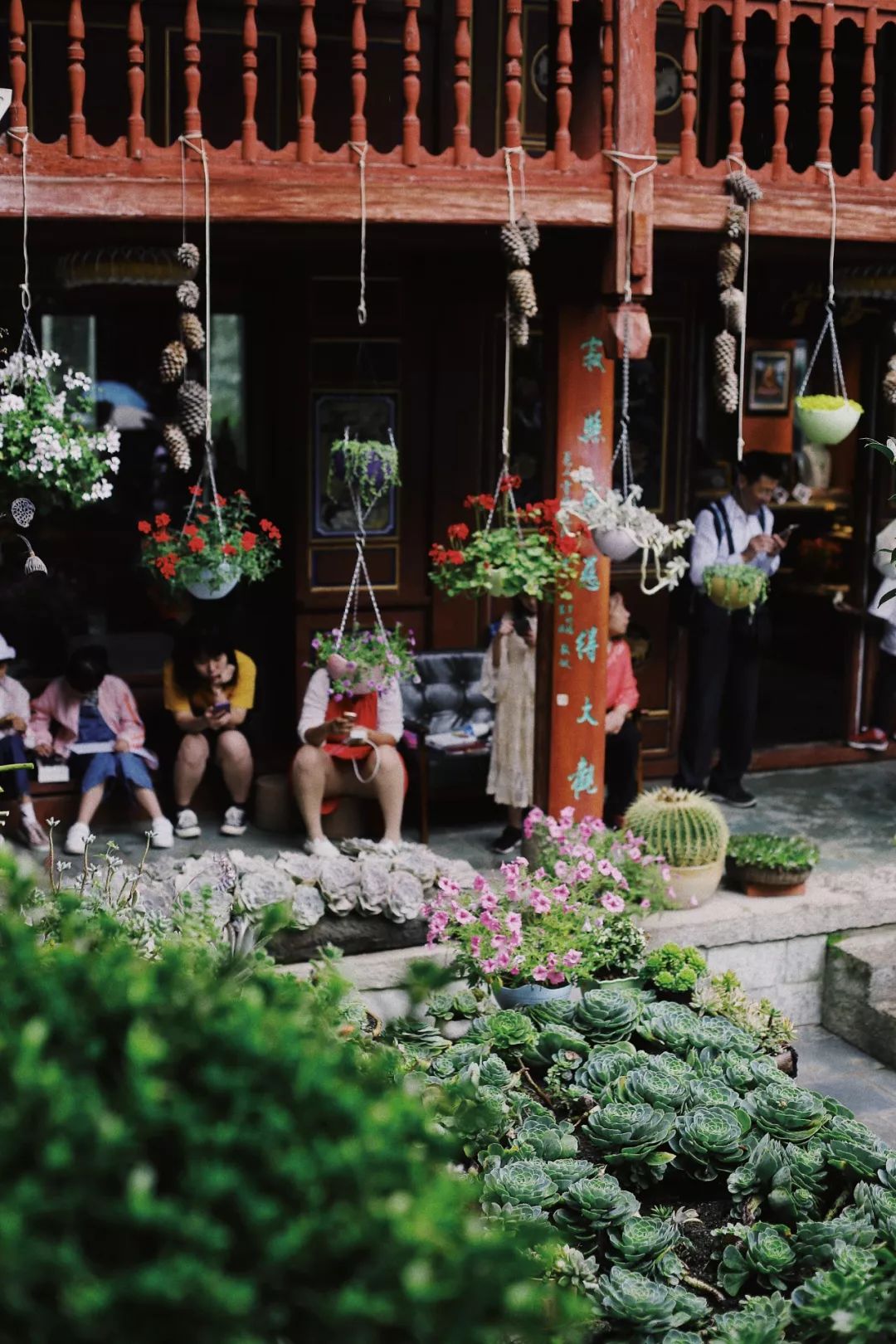 一到春天就美如画的古寺，花比香火旺，看完想出家