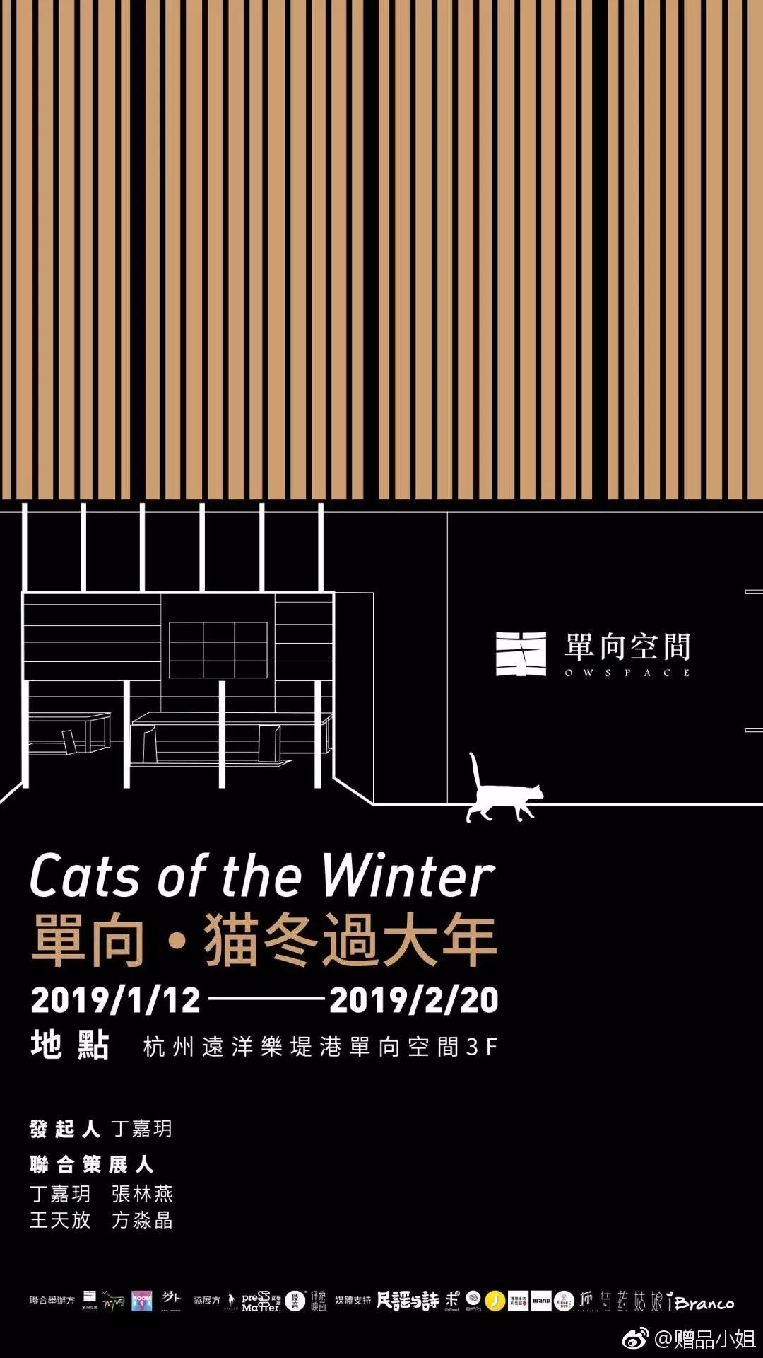 一只貓的旅行：春探花，夏撲蝶，秋戲葉，冬弄雪…… 寵物 第51張
