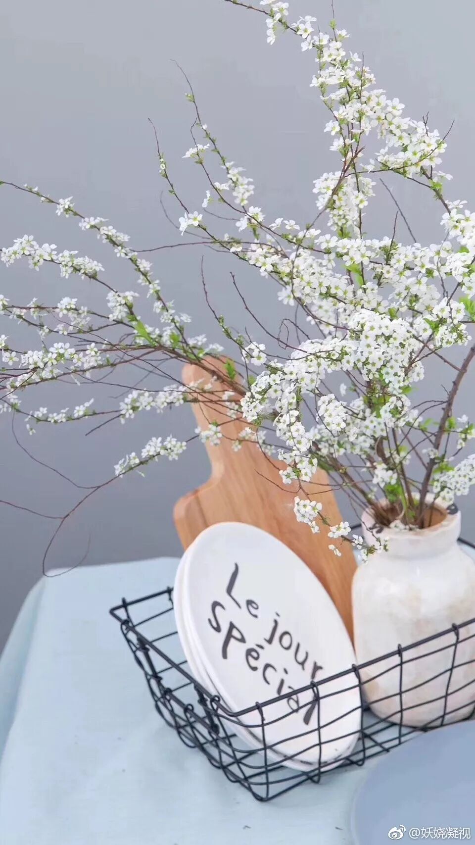 冬天，一定要买几枝雪柳！