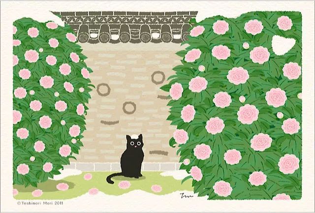 一只貓的旅行：春探花，夏撲蝶，秋戲葉，冬弄雪…… 寵物 第11張