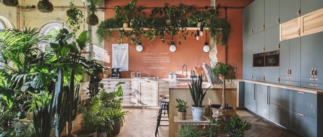 宜家改造200多平老公寓，自己种菜，农场花园都有了