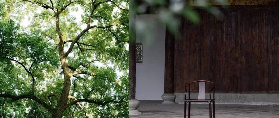 400年前明代流行的古典椅，如今依然美到骨子里！没点阅历还真欣赏不了