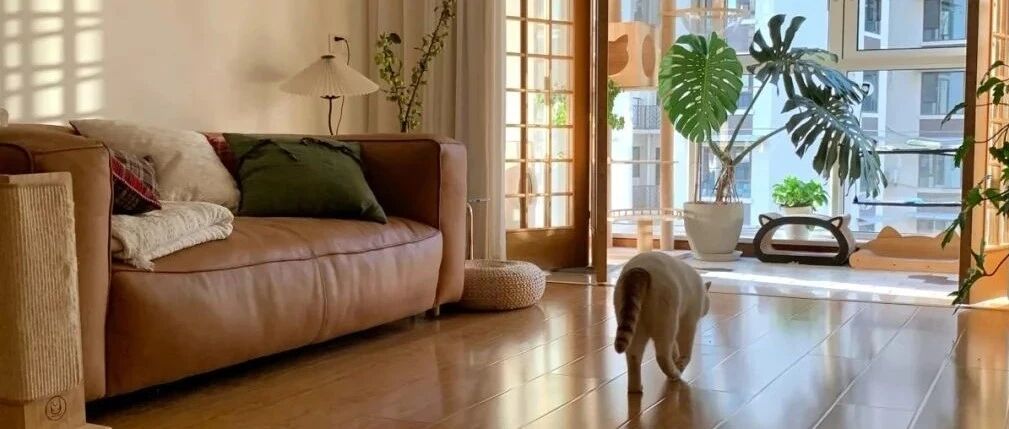 美好的家不一定豪华，但一定可以光脚跳舞