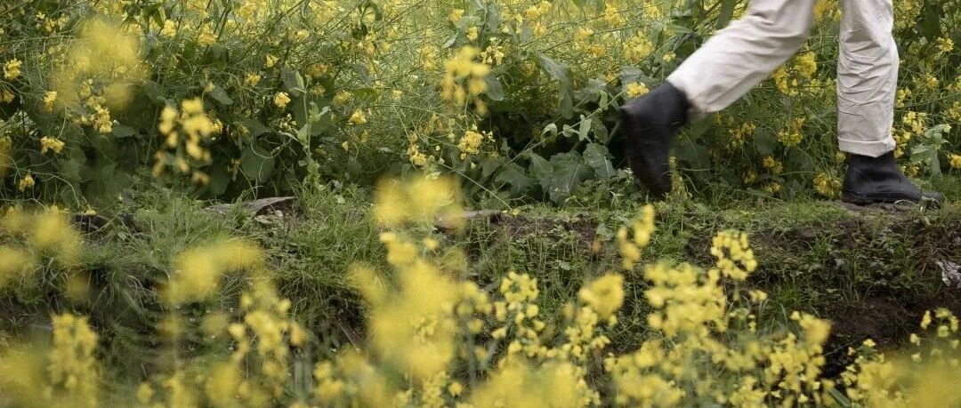 踏青如果不想人挤人，请收下这个宝藏好货