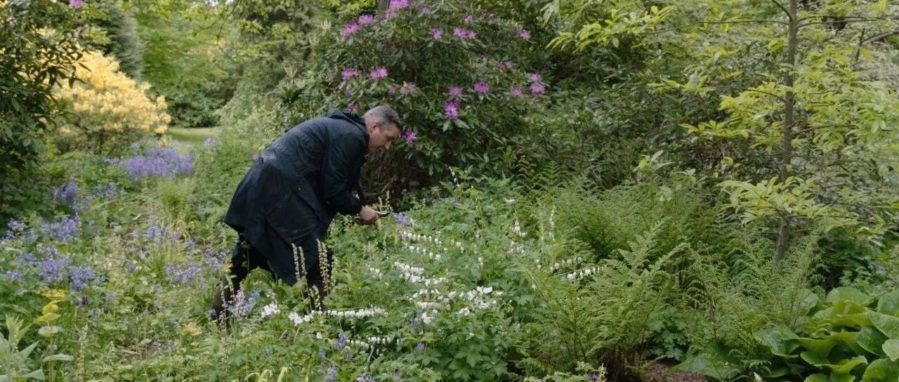 他是女人羡慕的时装诗人，几十年一日用花做衣服，又美又疯狂