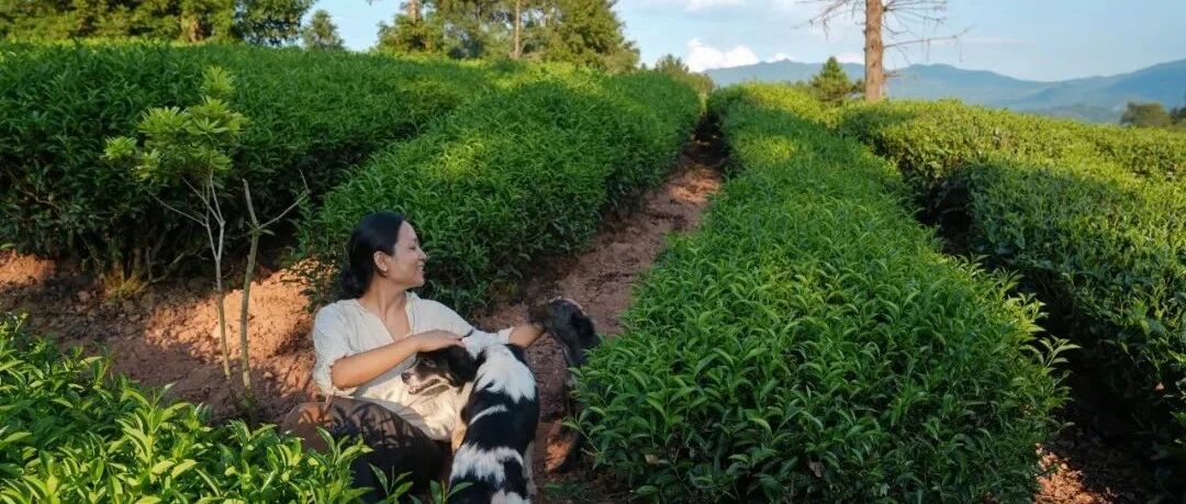 45㎡毛坯房被她改成山茶花客厅，不用空调、少刷手机，朋友踏破门