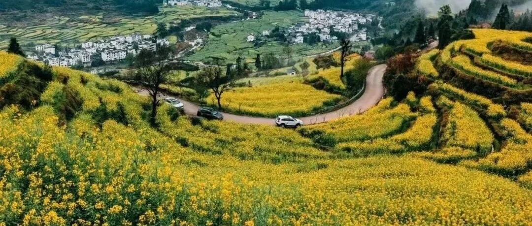 江南的春天太销魂～等花开了，第一个冲这里！