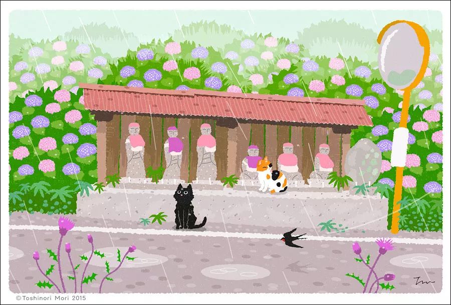 一只貓的旅行：春探花，夏撲蝶，秋戲葉，冬弄雪…… 寵物 第10張