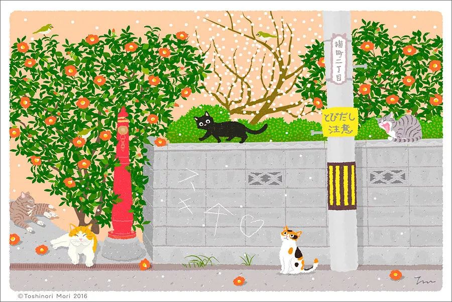 一只貓的旅行：春探花，夏撲蝶，秋戲葉，冬弄雪…… 寵物 第8張