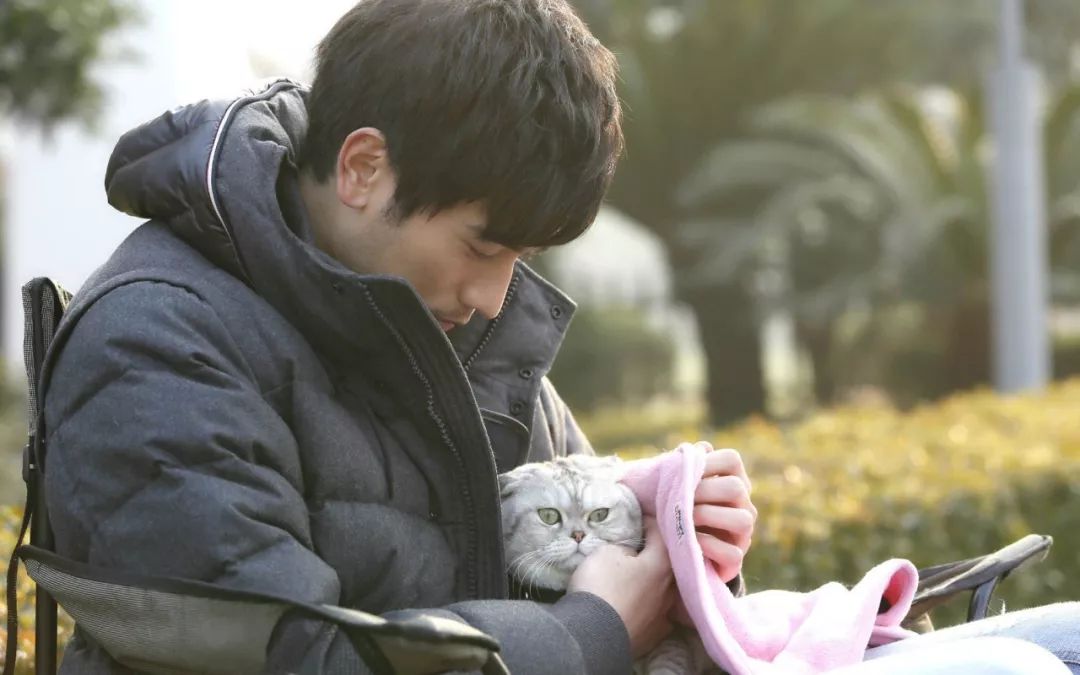 比高以翔猝死更可怕的,是你可能在慢性自杀!(图8)