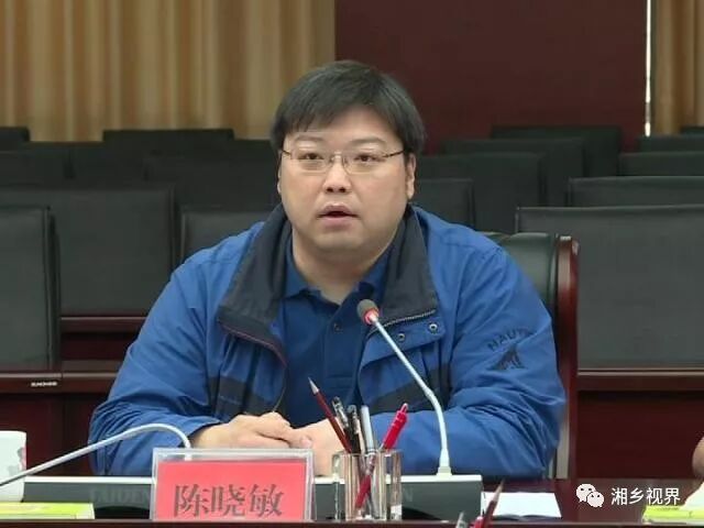 市委副书记,市长周俊文对陈晓敏一行的到来表示热烈欢迎,指出,湘乡