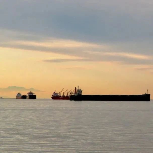 俄乌冲突以来首艘货船抵达乌港口，DHL宣布重新开放在乌业务！| 壹航运