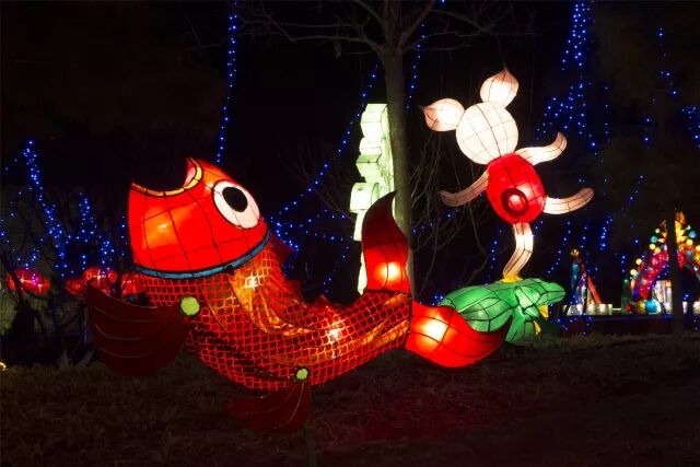 ���е����� - 2018������Ԫ���ڵ��ջᾫ������