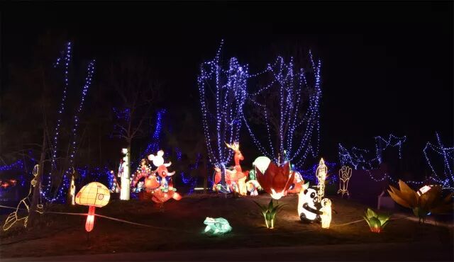 ���е����� - 2018������Ԫ���ڵ��ջᾫ������