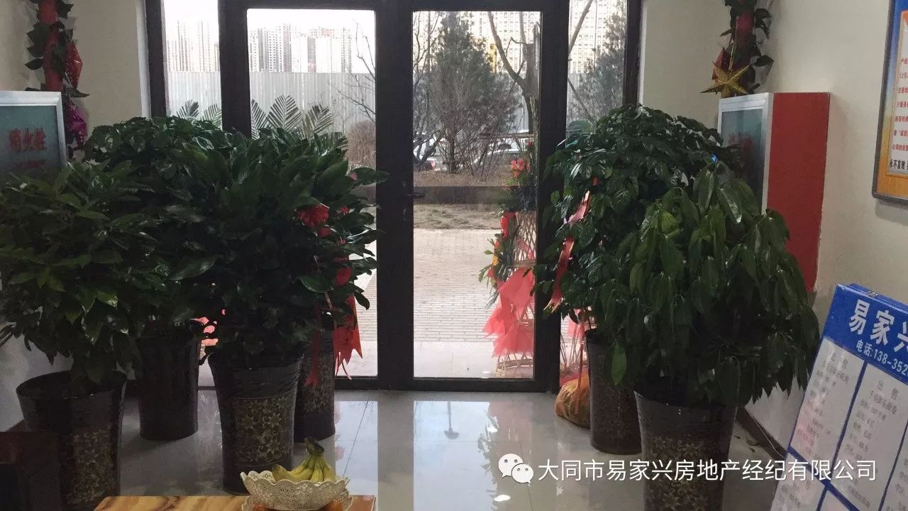 易家兴房产盛大开业