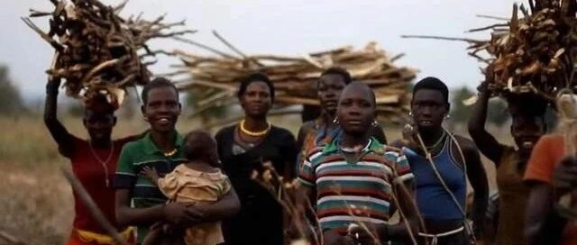 黑人到底出了什么问题呢？为何没一个发展好的