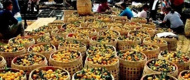 这个穷国终于等来了位好总统，上台后亲近中国，努力发展国家