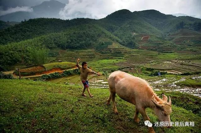 南越為何歧視北越？ 歷史 第5張