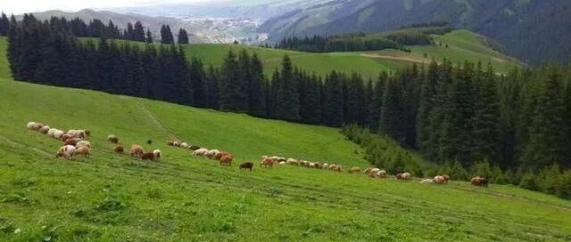 此地有20个澳门大小，什么时候才能彻底回归祖国呢？