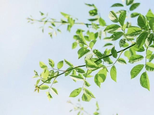 如果生活不够慷慨_慷慨生活是什么意思_慷慨生活说说