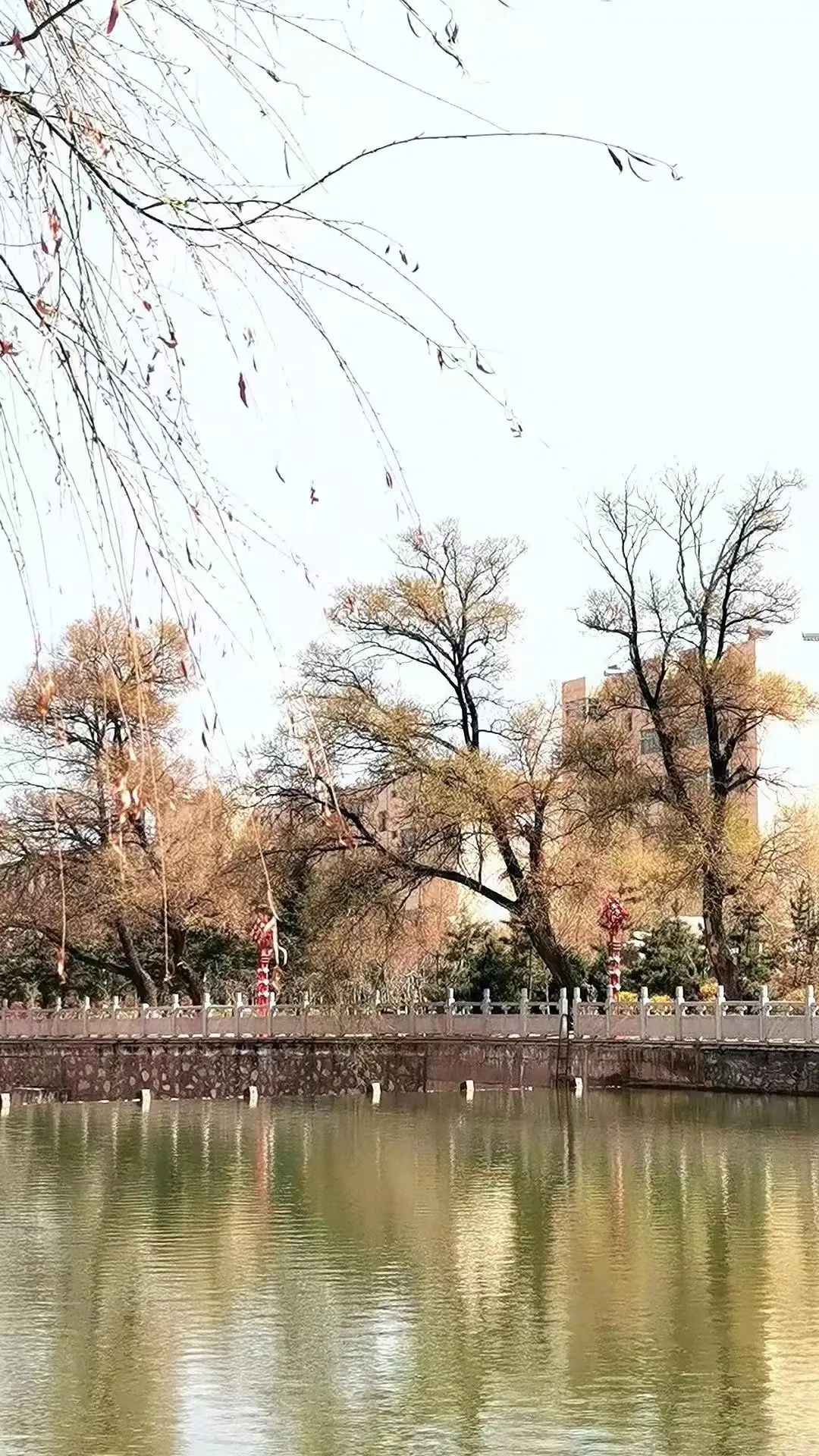 561b695df890341acf4a271fa14193c.jpg 图片