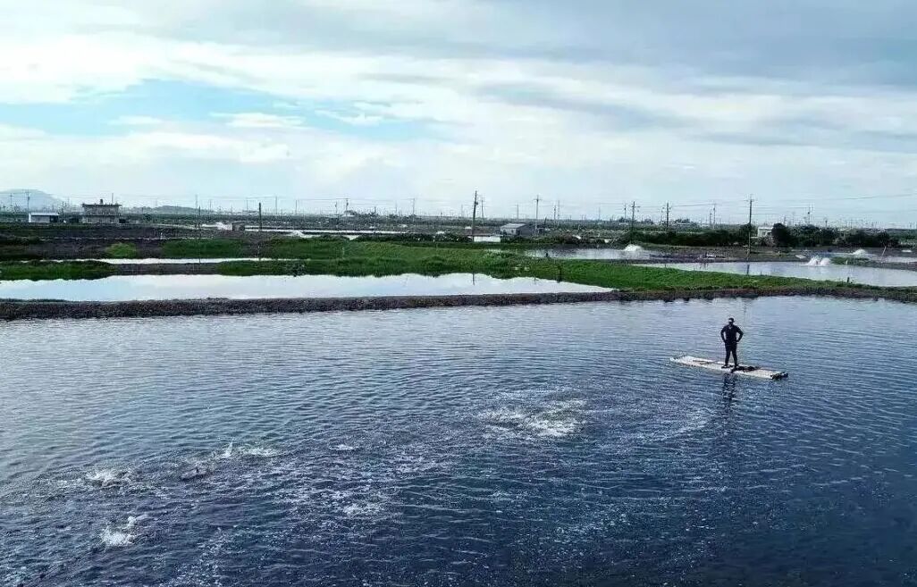 秋冬養(yǎng)殖如何高效“氧”魚？從水質(zhì)監(jiān)測開始！