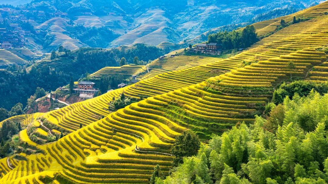 青山妩媚、碧水痴缠——超全桂林旅游攻略