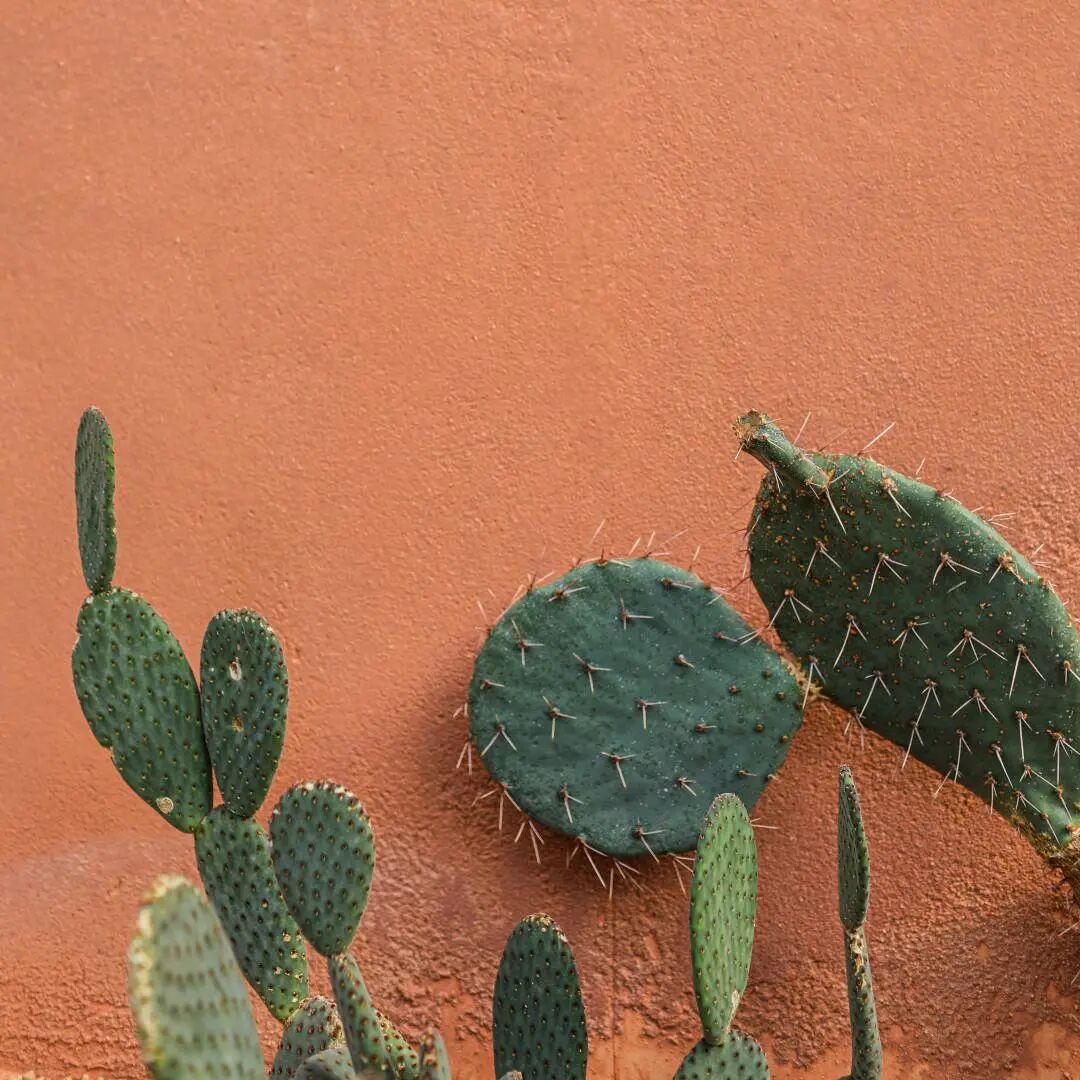 医疗器械怎么医疗器械说明书怎么写？文内附模板_https://www.jmylbn.com_新闻资讯_第8张