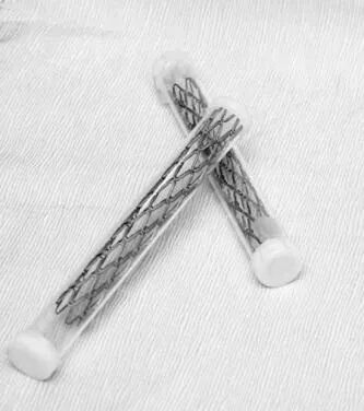 什么是介入耗材原创｜医疗耗材兵器谱之介入支架_https://www.jmylbn.com_新闻资讯_第14张