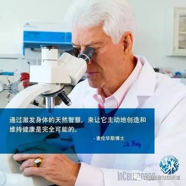 USANA葆婴是唯一通过FDA，GMP，USP，PDR，NS