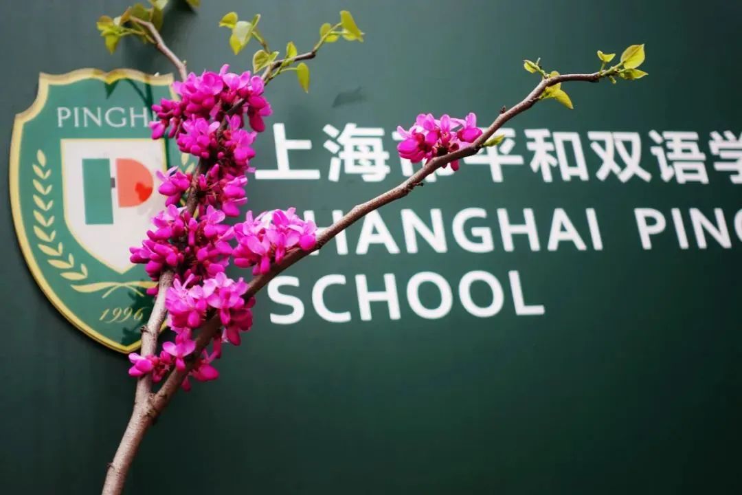 上海前十名國際學校_上海國際學校前30名排行_上海國際學校名字