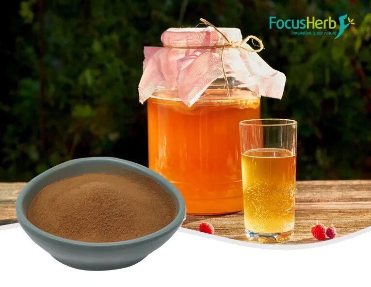 富恒生物康普茶