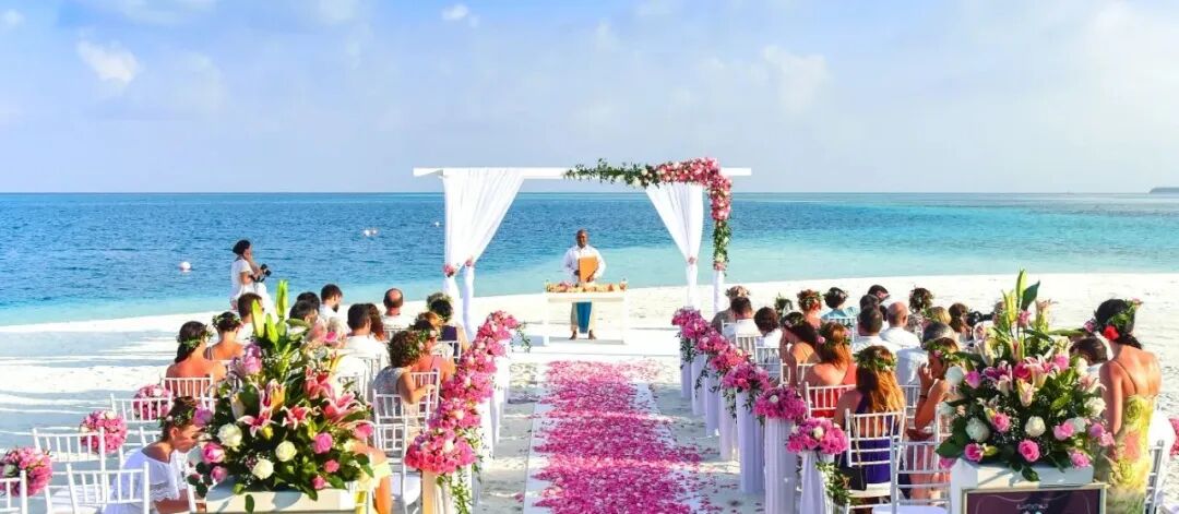 夏日来袭：阳光下的无限可能 | 橙干货