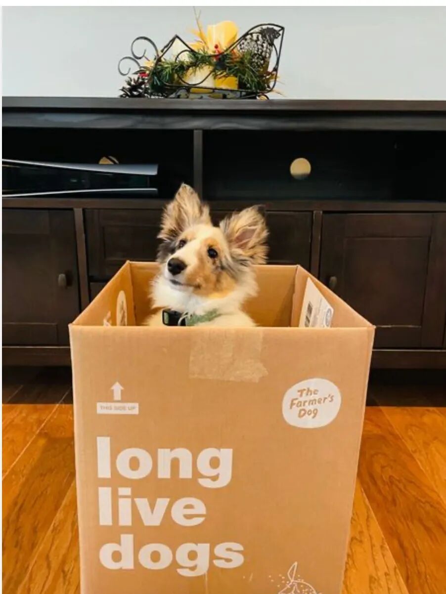 6个提升转化的海外广告创意| 橙干货