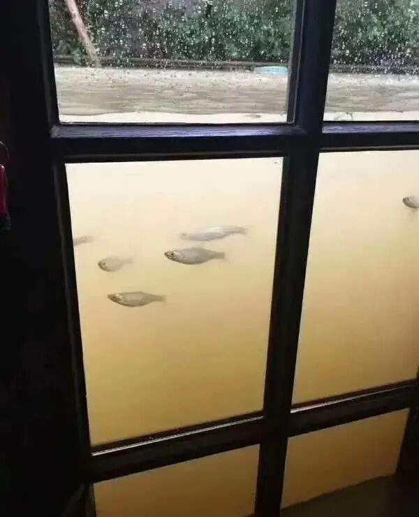 �������������˸ɵĺ��£�