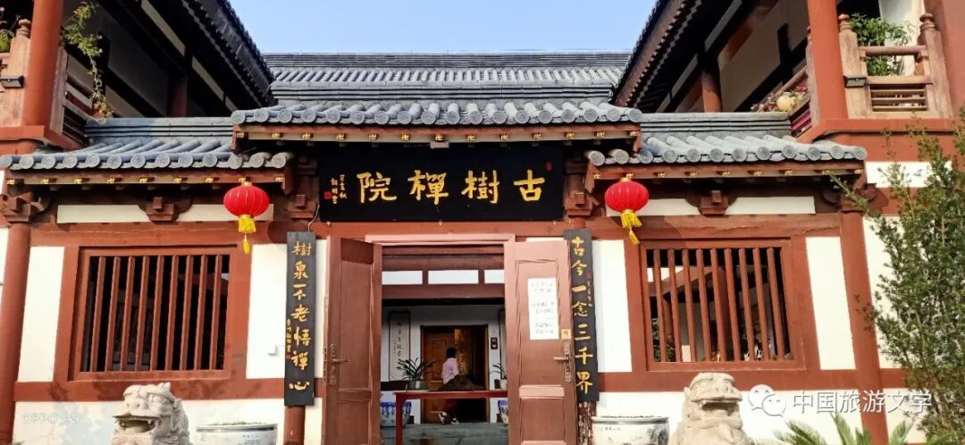 行走丨姿色惠济寺