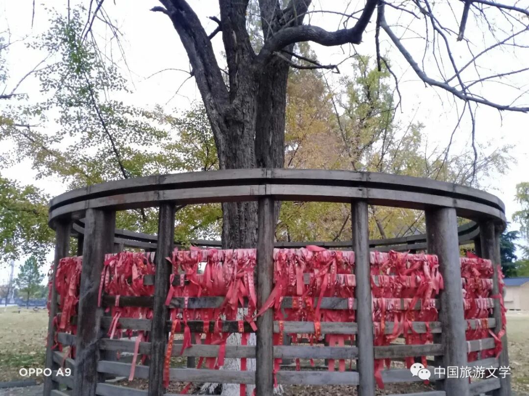 刘清沨古惠济寺_普陀山惠济寺求什么_惠济寺
