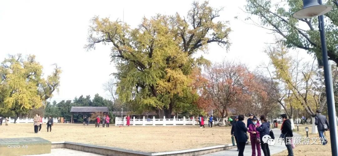 惠济寺_普陀山惠济寺求什么_刘清沨古惠济寺
