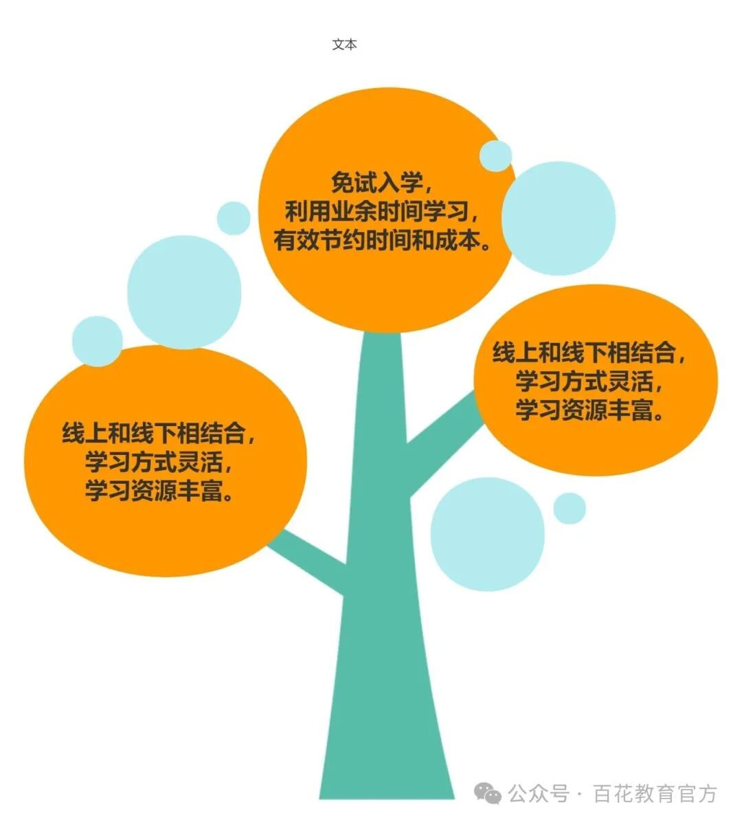 树形状.jpg