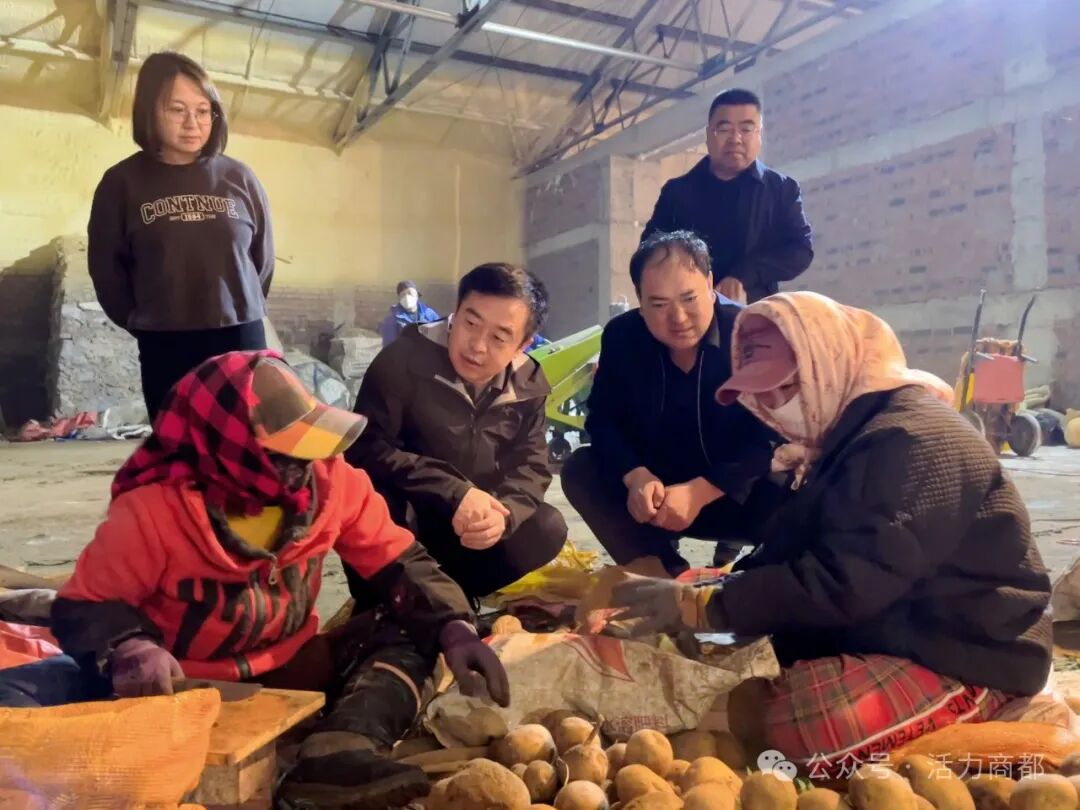 杨文辉专题调研乡村振兴工作